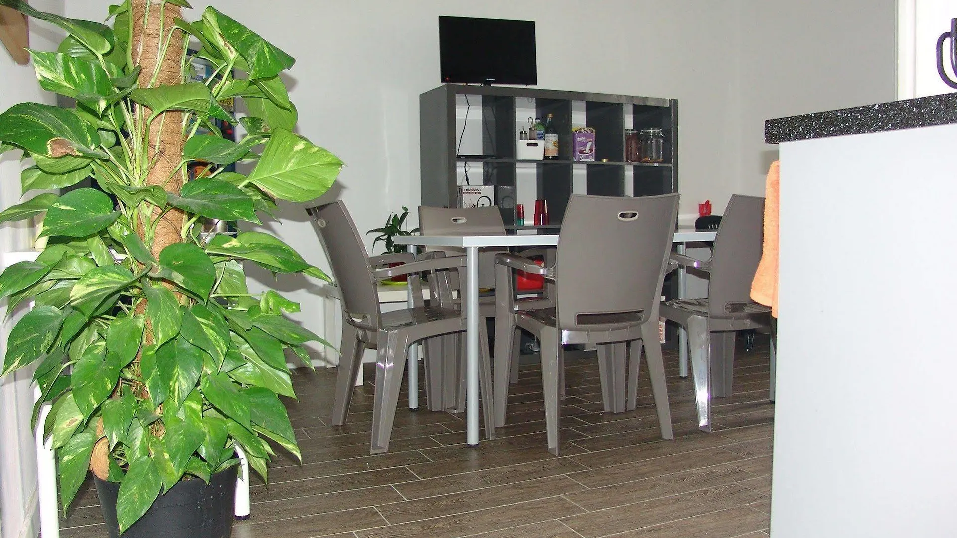 Le Ciel D'Orphee Hotel Pisa Guest house